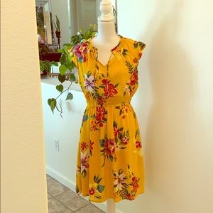 Cute summer dress